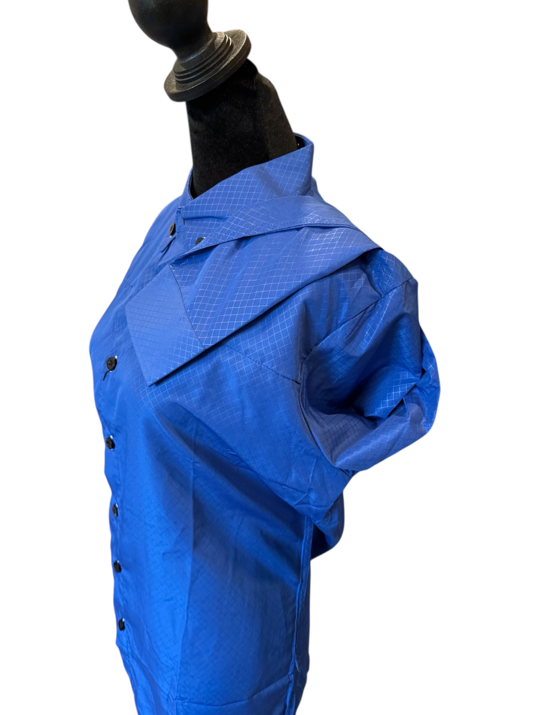 Western Button Up Royal