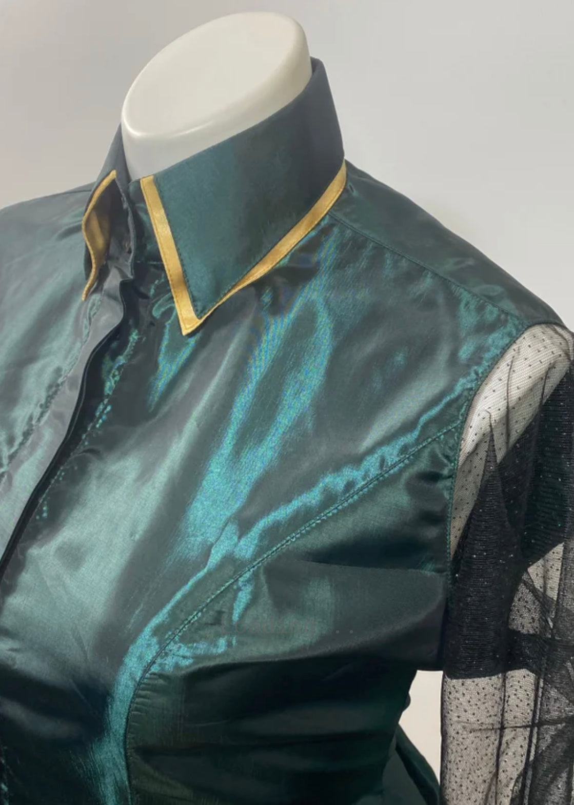 Western Day Shirt Taffeta Sheer Sleeve