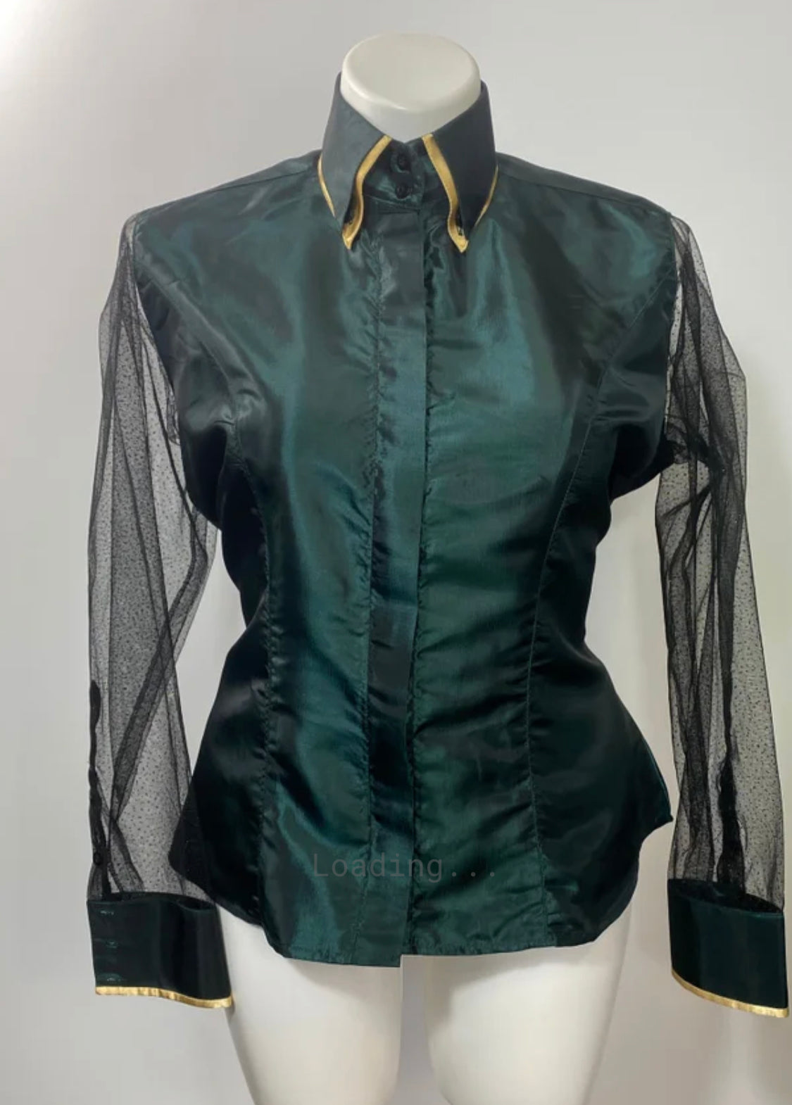 Western Day Shirt Taffeta Sheer Sleeve