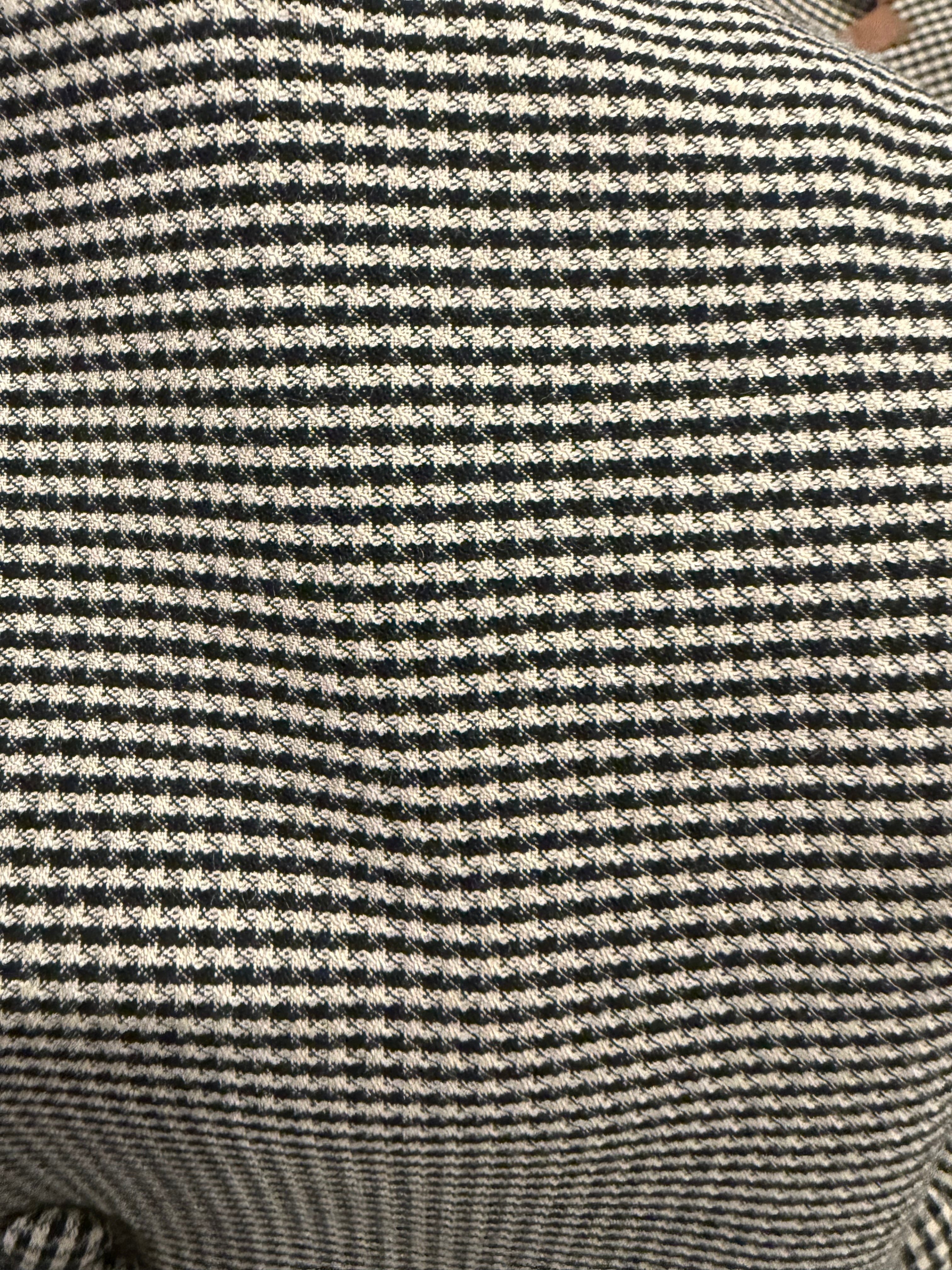 Western Showmanship Suit